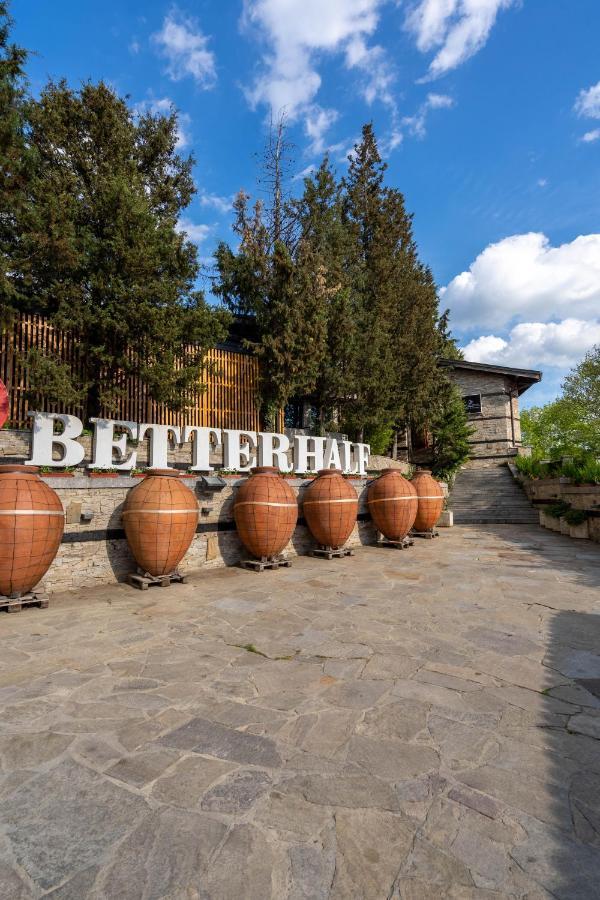 סטרה זגורה Villa Yana Hotel Winery&Spa מראה חיצוני תמונה